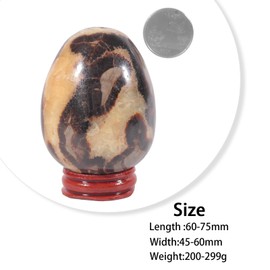 mookaitedecor 60-75mm Natural Septarian Crystal Egg Ornament with Wooden Stand, Septarian Nodule Dragon Stone Healing Crystal Stone Egg Shaped Gift Cute Room Desk Ornament Easter Egg Decoration