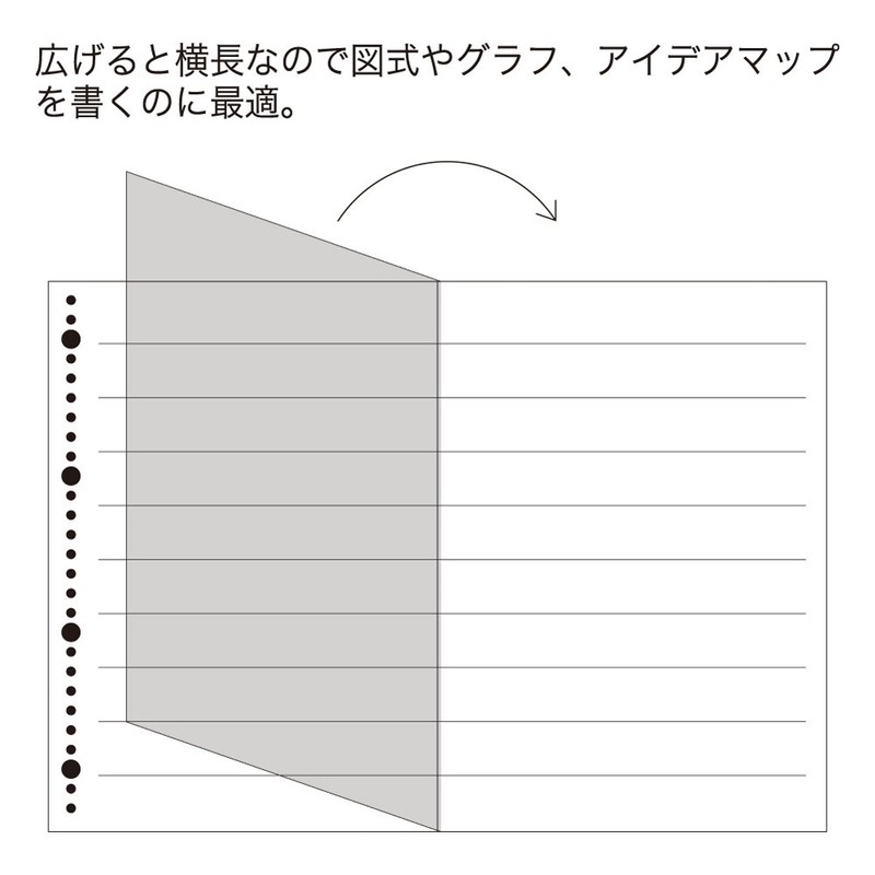 Maruman L1197 A4 0.2 inch (5 mm) Wide Loose Leaf,