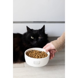 Pearhead Meow Ceramic Cat Bowl, Holds 1.3 Cups, Small Food and Water Bowl for Cats, Pet Dish, Microwave and Dishwasher Safe