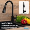 Klabb Single Handle High Arc Pull Out Kitchen Faucet, Matte