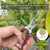 BELIJA Gardening Scissors Hand Pruner Pruning Shear with Straight Stainless
