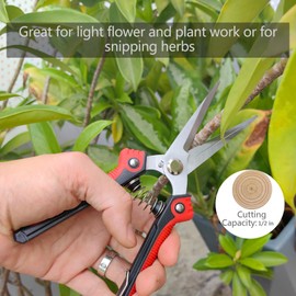 BELIJA Gardening Scissors Hand Pruner Pruning Shear with Straight Stainless Steel Blades, Flower Cutter Garden Clippers, 8.1 Inch (Red)