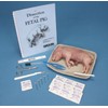Carolina® Pig Anatomy Kit With Dissecting Set, Materials For 1-2