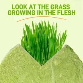 8pcs Cat Grass Teething Stick,Cat Chew Sticks,Cat Dental Chews,Natural Cat Dental Sticks,Green Grass Cat Teething Sticks,Catnip Sticks for Cats,Cat Dental Toy,Cat Teething Toy for Hairball Removal