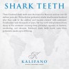 Kalifano Auténticos Fosilizados Dientes De Tiburón Prehistór