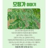 모링가 말린 건조 건모링가 잎 차 인도네시아산, 2개 Dried Moringa