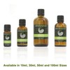Grapefruit 100% Pure Essential Aromatherapy Oil 100ml