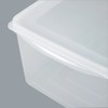 Shinki Gosei Dragonfly Natural Jumbo Seal Storage Container, Antibacterial, Deep,