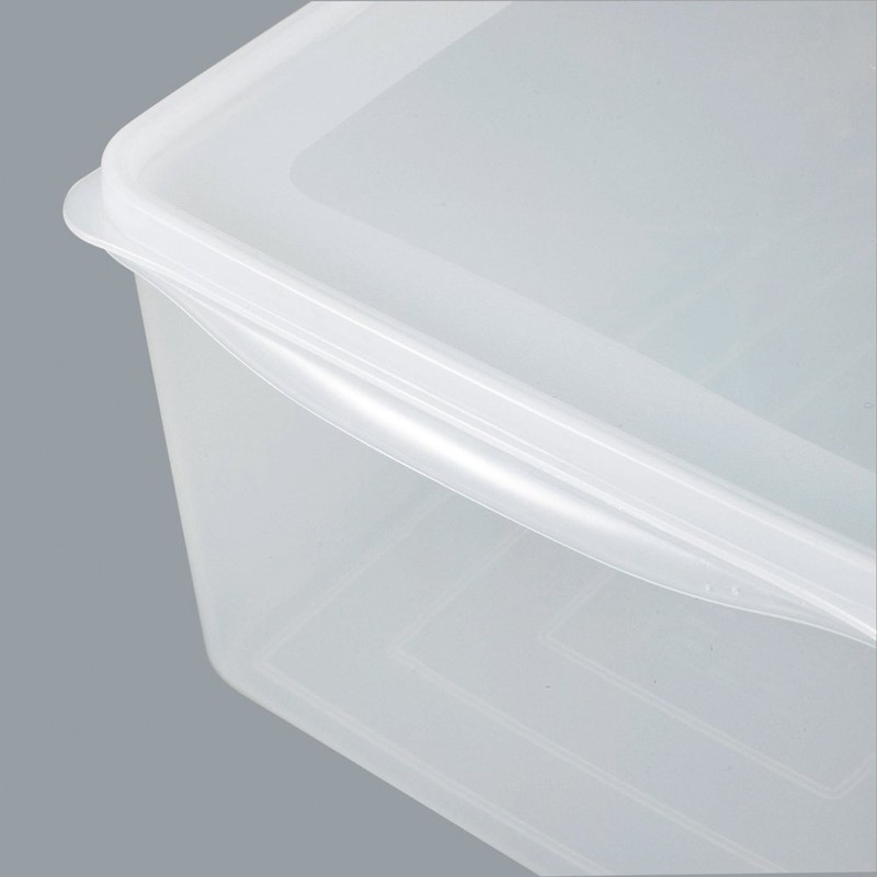 Shinki Gosei Dragonfly Natural Jumbo Seal Storage Container, Antibacterial, Deep,