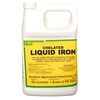 Southern Agriculture Chelated Liquid Iron Fertilizer - 1 Gallon