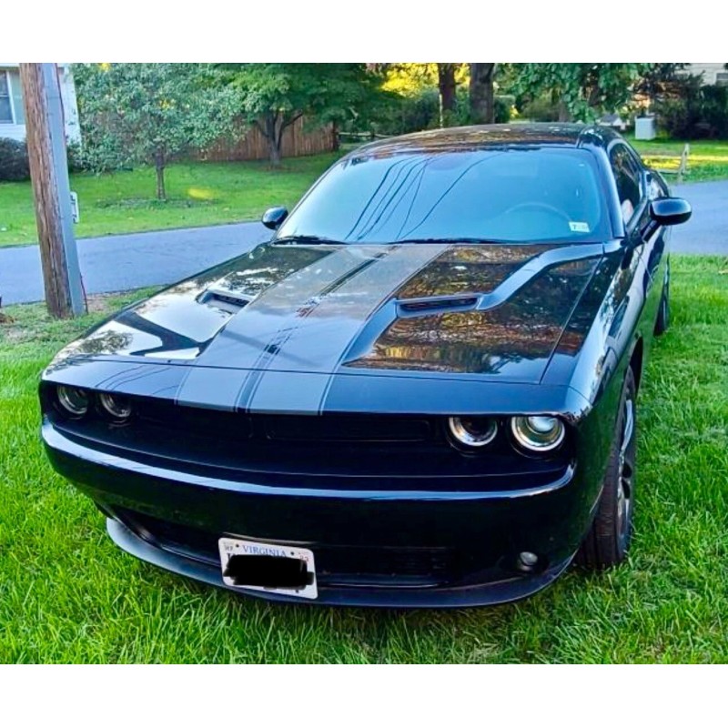 ORACAL 18" CHARCOAL METALLIC rally stripes decals fits any yr