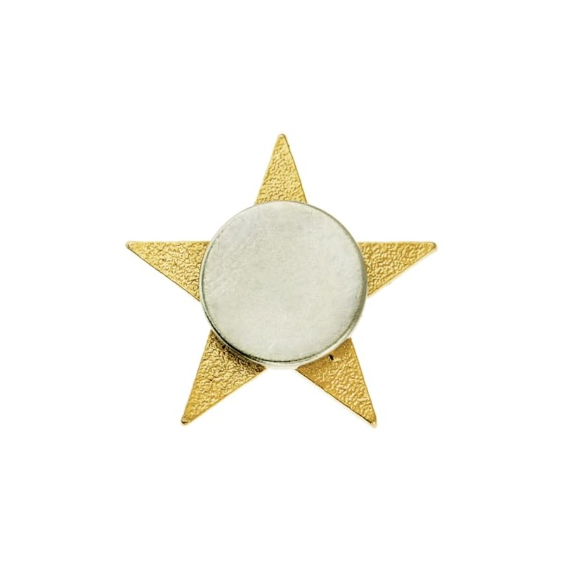 PinMart's Gold Star Pin Magnetic Back