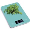 Ozeri Touch Professional Digital Kitchen Scale (12 lb Edition), Tempered