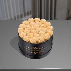 NATROSES 27 Piece Forever Preserved Roses in a Box, Preserved Flowers for Delivery Birthday, for Mom, Buttermilk