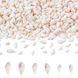 AHANDMAKER 450pcs 3 Styles Ocean Beach Shells Spiral Shell Fish Tank Beach Microscape Ornaments for DIY Craft Jewelry Making Accessories Vase Fillers Ocean Themed Party Wedding Home Decor