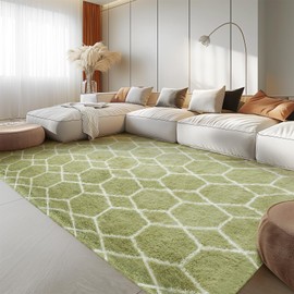 Area Rug for Living Room Bedroom, 5X7 Feet Soft Shaggy Rug, Plush Fluffy Rugs, Modern Moroccan Geometric Carpets, Anti-Skid Durable Carpet for Kids Dorm Nursery, Green and White