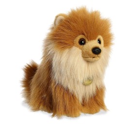 Aurora - Miyoni - Cachorro de Pomerania - 22.86cm.