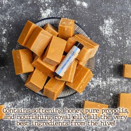 Savannah Bee Company Lip Balm - Lip Moisturizer for Chapped Lips - Hydrating Lip Balm with Pure Honey