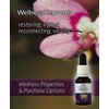 Living Essences of Pink Fountain Essential Oil 100 ml
