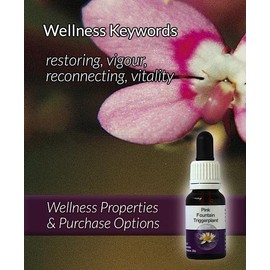 Living Essences of Pink Fountain Essential Oil 100 ml