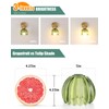 Shenmoyl Tulip Lamp Shades Replacement, 5" Dia. * 4.25" H
