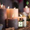 SVA Cedarwood Essential Oil – 4 Fl Oz – 100%