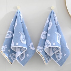 sense gnosis Blue Paisley Pattren Jacquard Hand Towels 100% Cotton Super Soft Absorbent White Terry Double-Sided Hand Towels for Bathroom Decorative Hotel Shower 13" x 29, 2 Pack