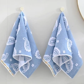 sense gnosis Blue Paisley Pattren Jacquard Hand Towels 100% Cotton Super Soft Absorbent White Terry Double-Sided Hand Towels for Bathroom Decorative Hotel Shower 13" x 29, 2 Pack