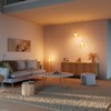 OSRAM Vintage Pendant Light, Dark Grey, Individual Light Scenarios, Stainless