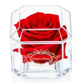 A 100% Real Rose That Lasts Years - Eternal Petals, Handmade in UK – White Gold Solo (Red)