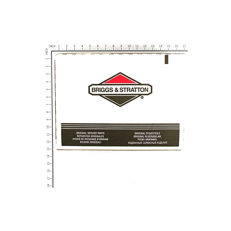 Briggs & Stratton 196006GS 1/4-Inch X 25' Pressure Washer Hose