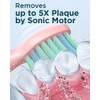 Rtauys Sonic - Cepillos de dientes eléctricos recargables para adultos