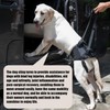Dog Sling for Injured and weak hind Legs Hind Leg