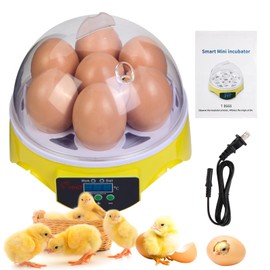Quail Eggs with Automatic Turner and Humidity Control, Small Quail Brooder, Outdoor Poultry Egg Incubator, Suitable for Parrot Canary and Other Bird (Green 05)