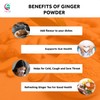 Ginger Powder 8oz | As Spicy as Fresh Ginger |