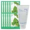 (10 sheets) Innisfree Energy Mask Houttuynia cordata + Bija Trouble Cleansing Foam / (10매)이니스프리 에너지 마스크 어성초+비자 트러블 클렌징 폼