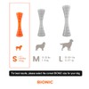 BIONIC Urban Stick - Juguete para Perros de hasta 20