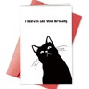 Bablira Funny Cat Birthday Card for Him Her, Naughty Birthday