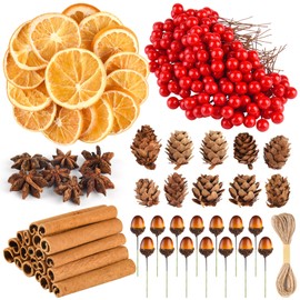 PLULON 281 Pcs Christmas Wreath Making Supplies Dried Orange Slices Artificial Berries Acorn Wreath Accessories for Xmas Craft Supplies Decorations