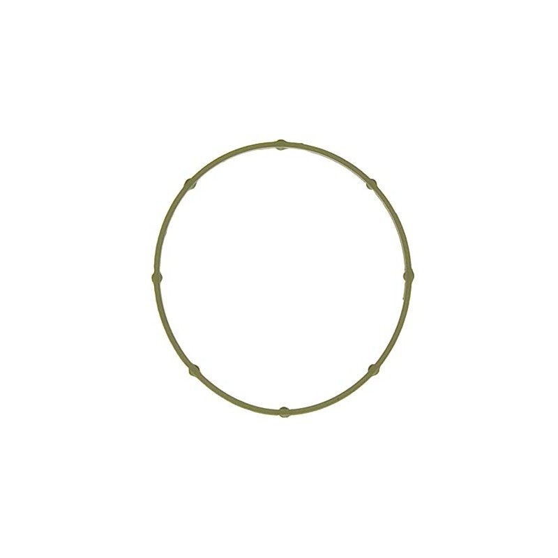 Throttle Body Gasket