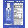 Karma Probiotic Water - 12 Pack, Blueberry Lemonade Drink -