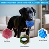 woeita Indestructible Squeaky Dog Ball – Durable Touch Chew Toy