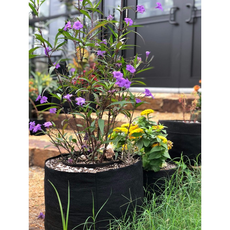 Smart Pots 3-Gallon Smart Pot Soft-Sided Container, Black