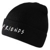 Waldeal Cute Beanie Hat Winter Hat - Friend Beanie for
