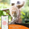 Weenect Weenect Cat XS - NEW GPS Tracker for Cats