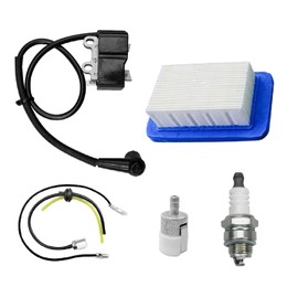 Ignition Coil Fit for Echo PB580 PB-580H PB-580T Shindaiwa EB600RT Replace A411001620 A10058 A411001621, Backpack Leaf Blower Engine Ignition Module with Spark Plug Filters