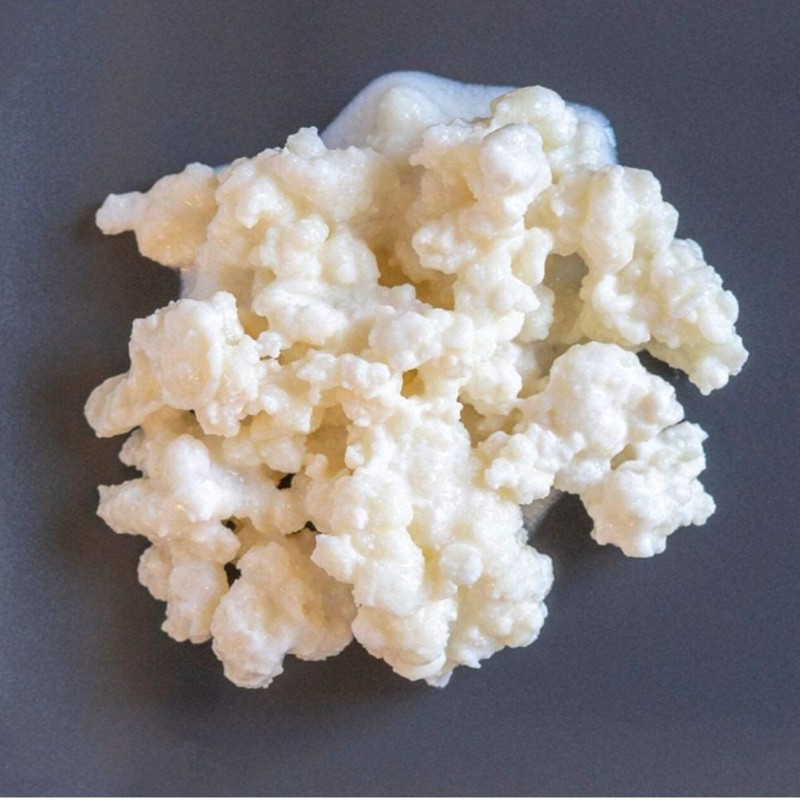 Freshly Fermented - Certified Organic Milk Kefir Grains (10g)