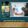 240 X Psyllium Husks Fibre Supplement – 1400mg per Serving