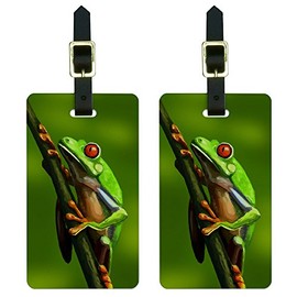 Green Red Eyed Tree Frog - Tropical Rainforest Luggage Tags Suitcase ID Set of 2