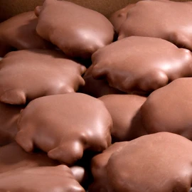 5 lb Bulk Milk Chocolate Caramel Pecan Clusters